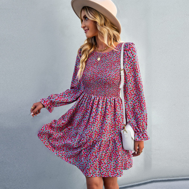 Round neck floral dress spring and summer long-sleeved all-match A-line skirt